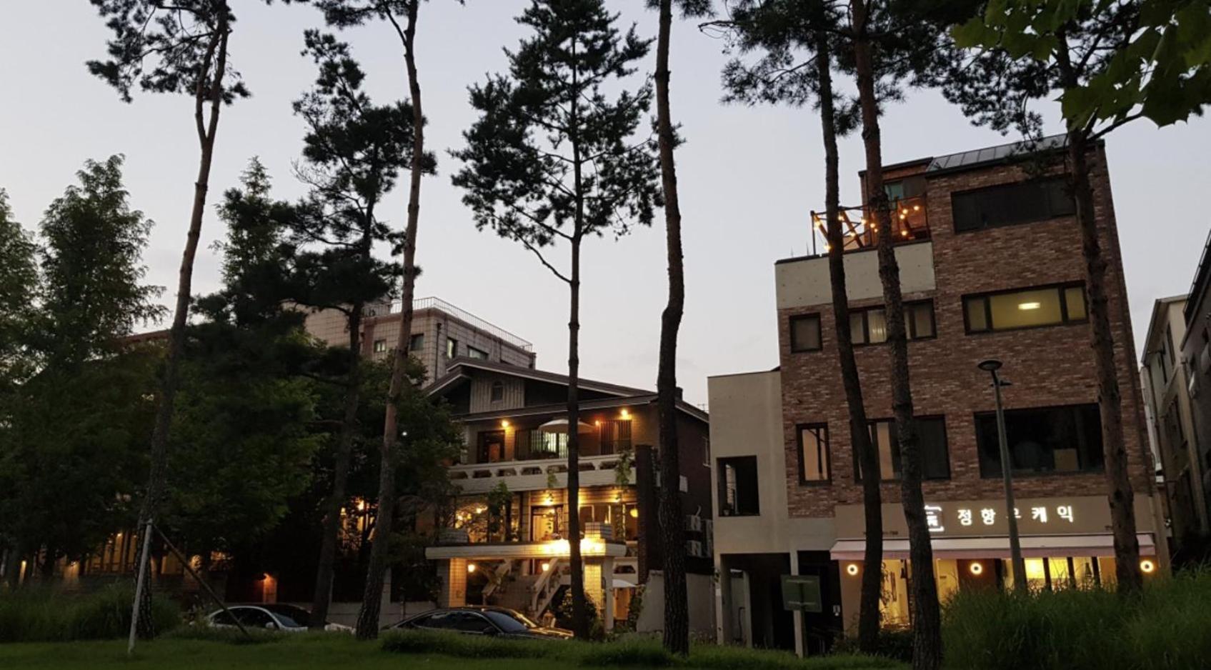 Hotel kapsul One *